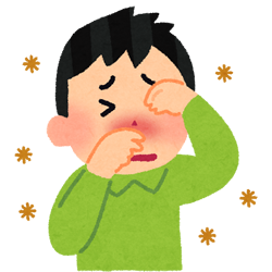 東大阪、耳鼻咽喉科 にしかわ耳鼻咽喉科 花粉症治療について